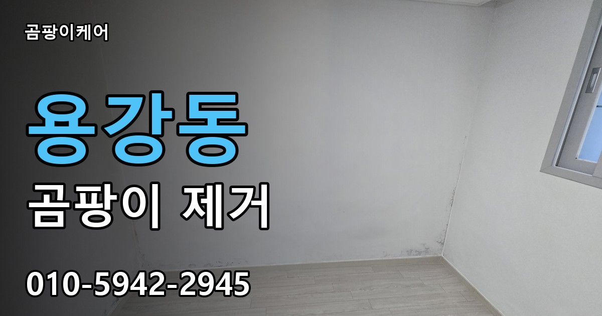 용강동 곰팡이 제거 - 곰팡이케어 실제 시공 현장