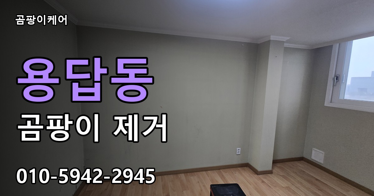 용답동 곰팡이 제거 - 곰팡이케어 실제 시공 현장