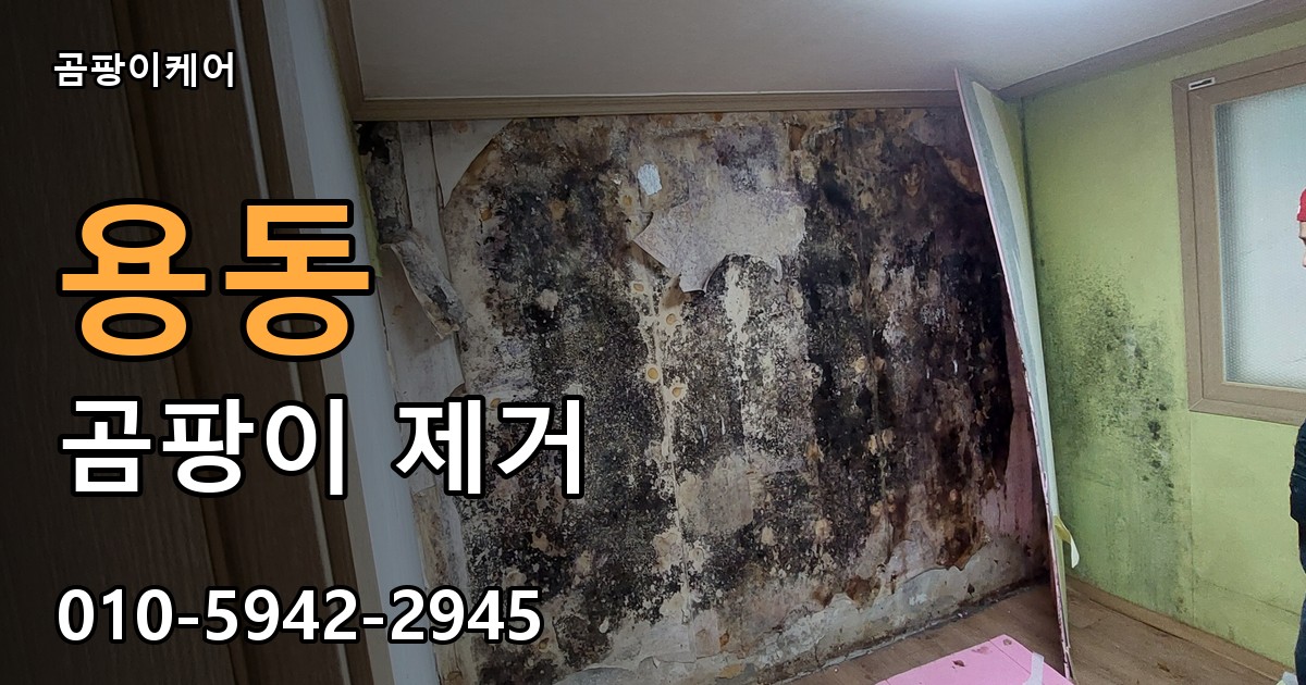 용동 곰팡이 제거 - 곰팡이케어 실제 시공 현장
