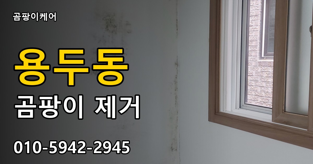 용두동 곰팡이 제거 - 곰팡이케어 실제 시공 현장