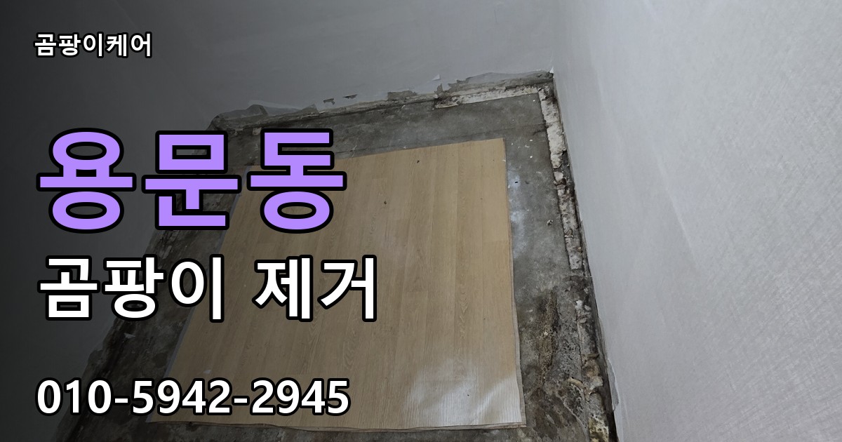 용문동 곰팡이 제거 - 곰팡이케어 실제 시공 현장