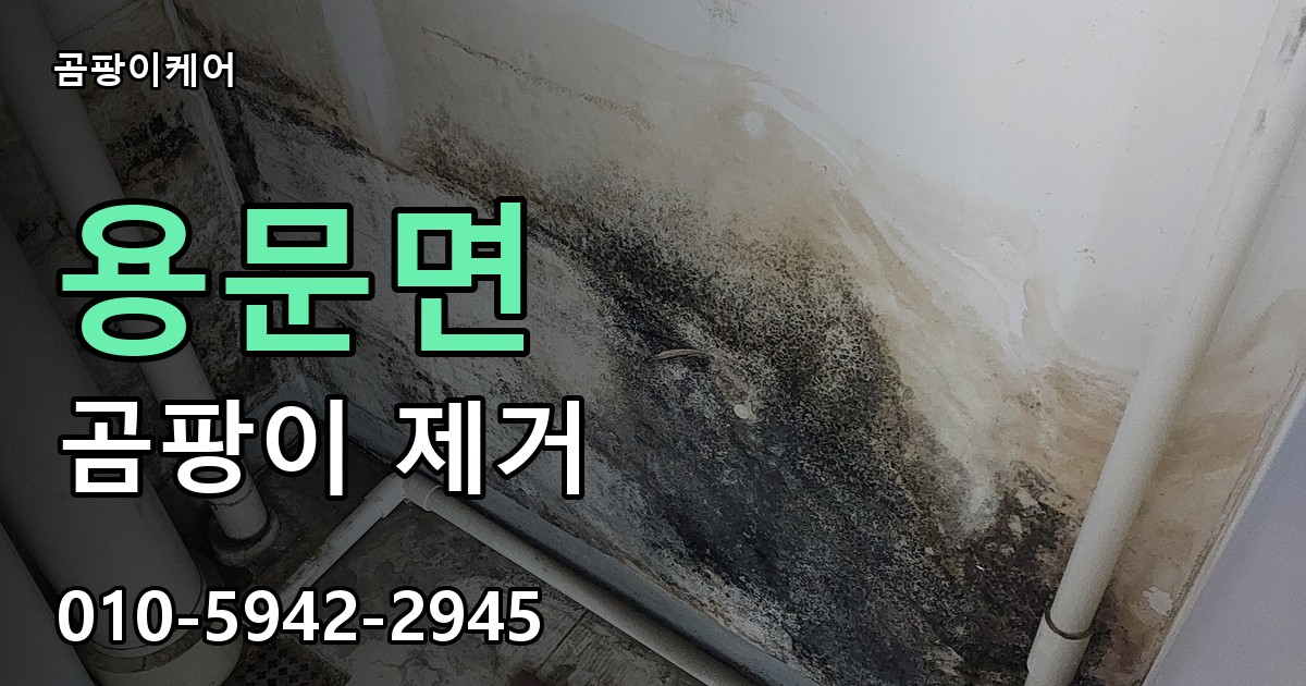 용문면 곰팡이 제거 - 곰팡이케어 실제 시공 현장