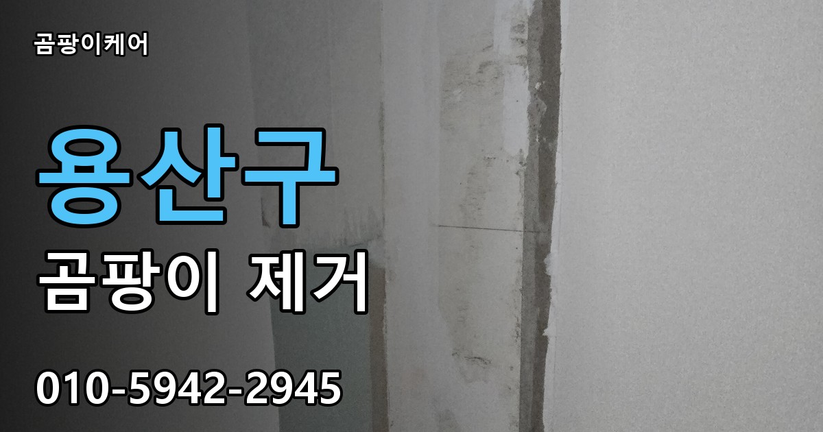용산구 곰팡이 제거 - 곰팡이케어 실제 시공 현장