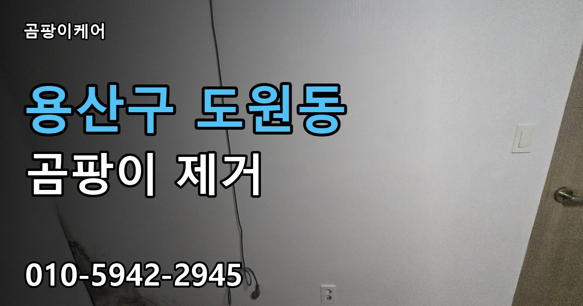 용산구 도원동 곰팡이 제거 - 곰팡이케어 실제 시공 현장