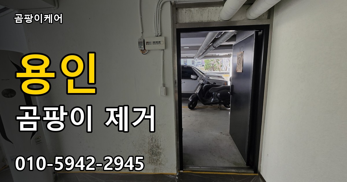 용인 곰팡이 제거 - 곰팡이케어 실제 시공 현장