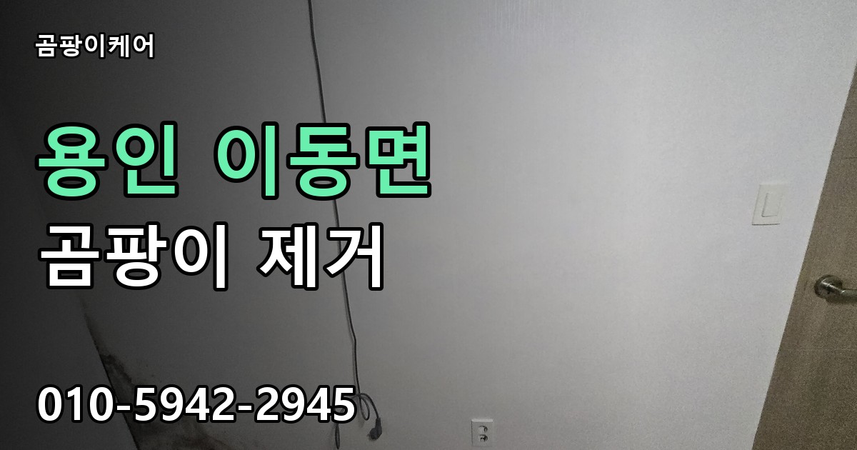 용인 이동면 곰팡이 제거 - 곰팡이케어 실제 시공 현장
