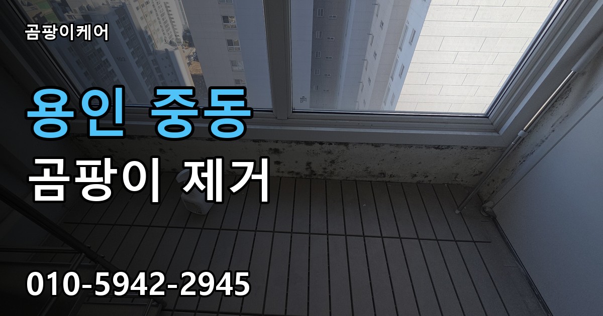 용인 중동 곰팡이 제거 - 곰팡이케어 실제 시공 현장