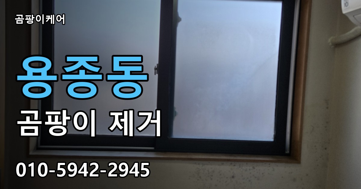 용종동 곰팡이 제거 - 곰팡이케어 실제 시공 현장