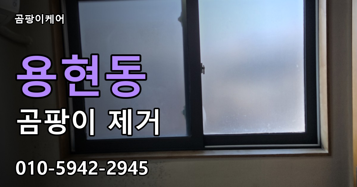 용현동 곰팡이 제거 - 곰팡이케어 실제 시공 현장