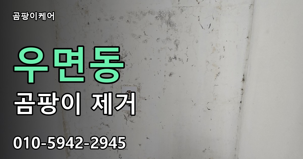 우면동 곰팡이 제거 - 곰팡이케어 실제 시공 현장