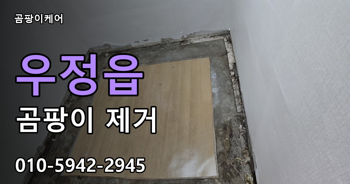 우정읍 곰팡이 제거 - 곰팡이케어 실제 시공 현장