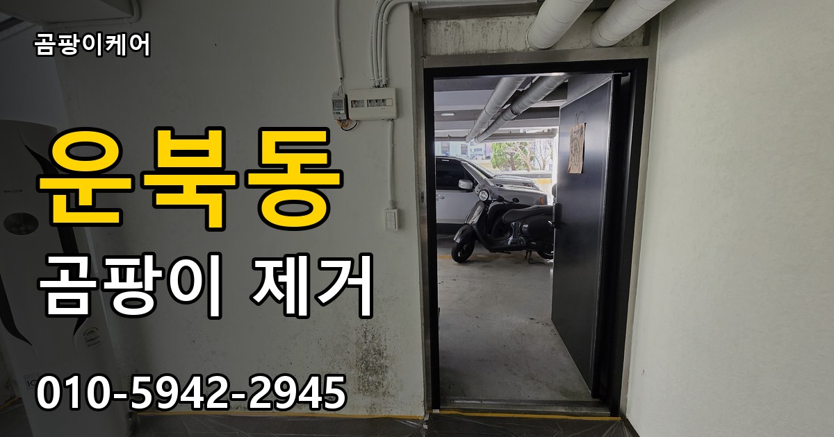 운북동 곰팡이 제거 - 곰팡이케어 실제 시공 현장