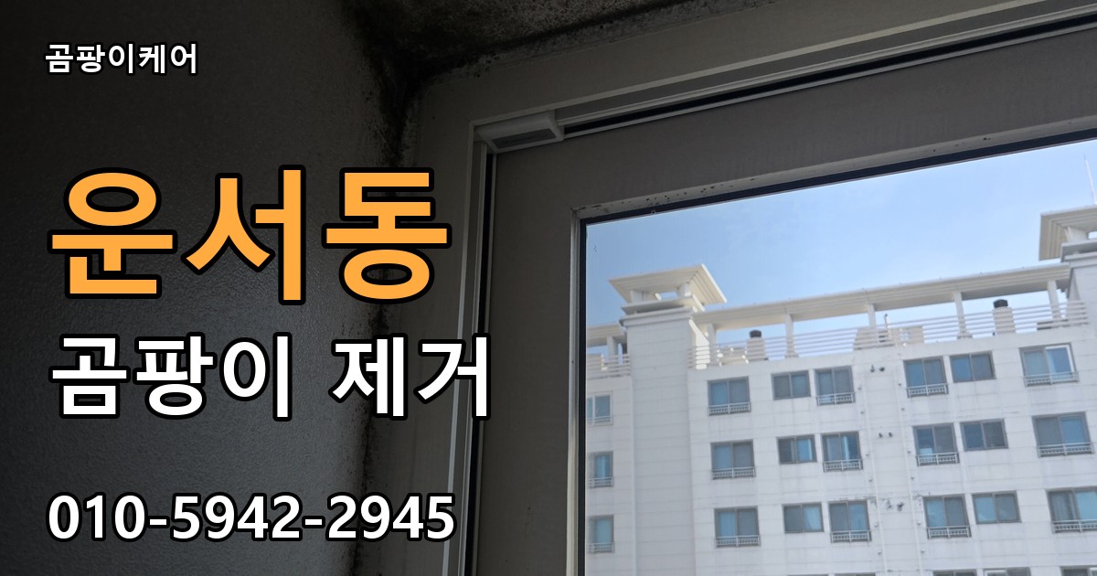 운서동 곰팡이 제거 - 곰팡이케어 실제 시공 현장