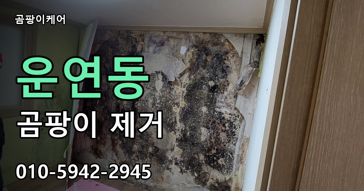 운연동 곰팡이 제거 - 곰팡이케어 실제 시공 현장