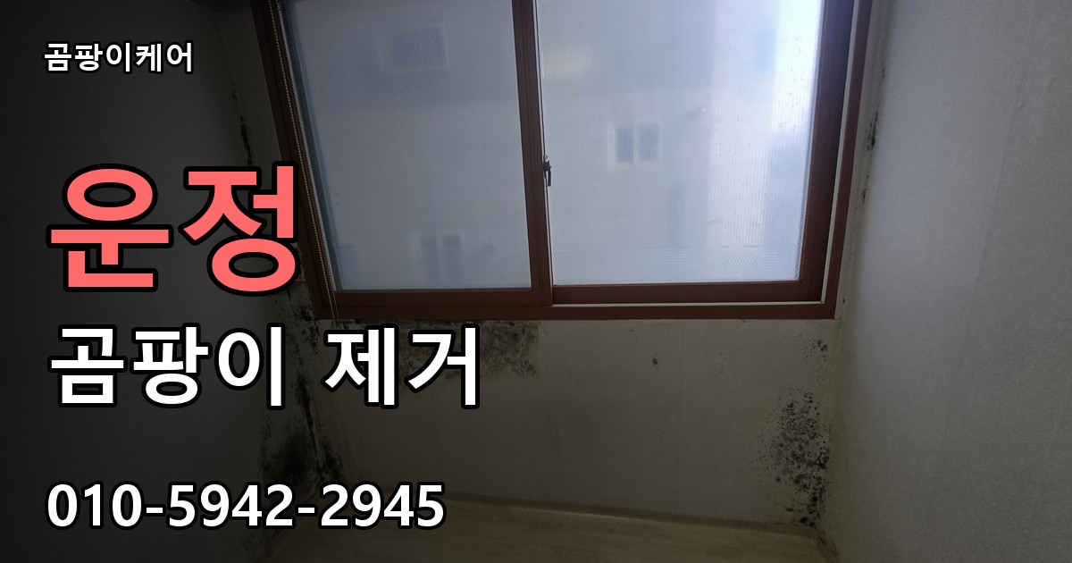 운정 곰팡이 제거 - 곰팡이케어 실제 시공 현장
