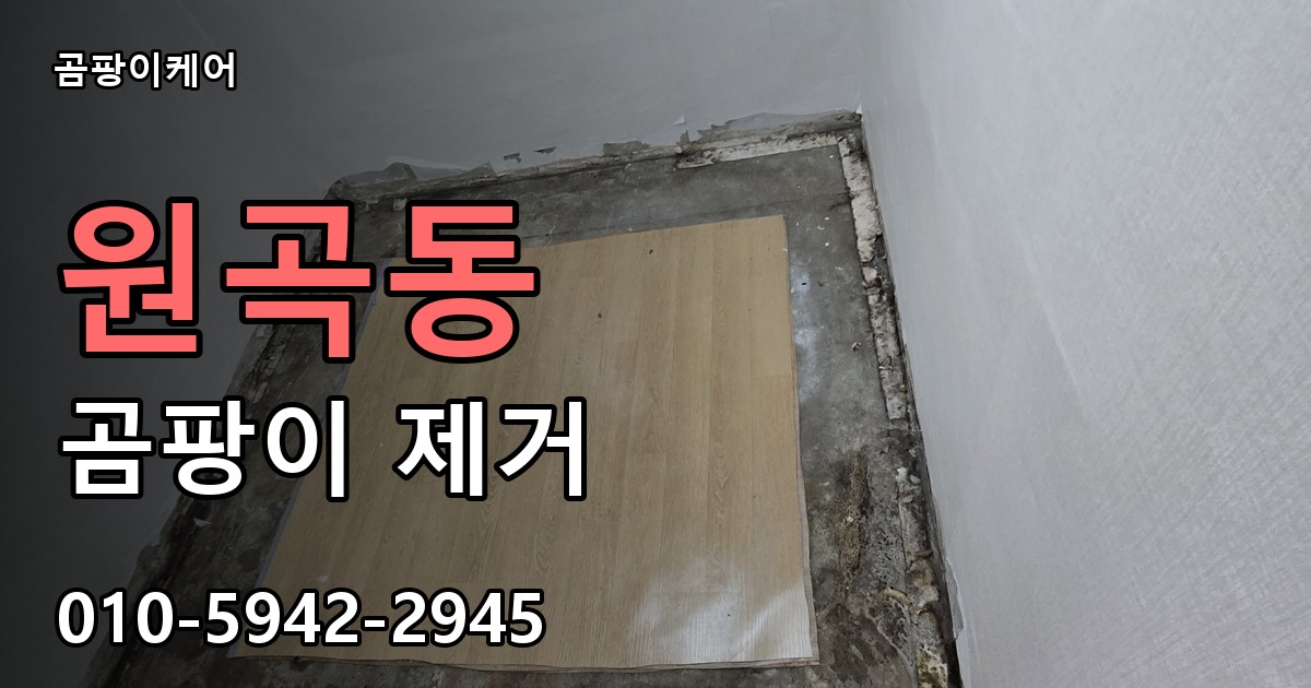 원곡동 곰팡이 제거 - 곰팡이케어 실제 시공 현장