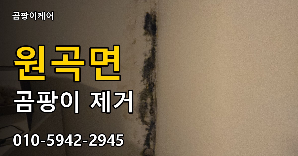 원곡면 곰팡이 제거 - 곰팡이케어 실제 시공 현장