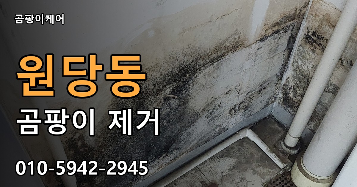 원당동 곰팡이 제거 - 곰팡이케어 실제 시공 현장