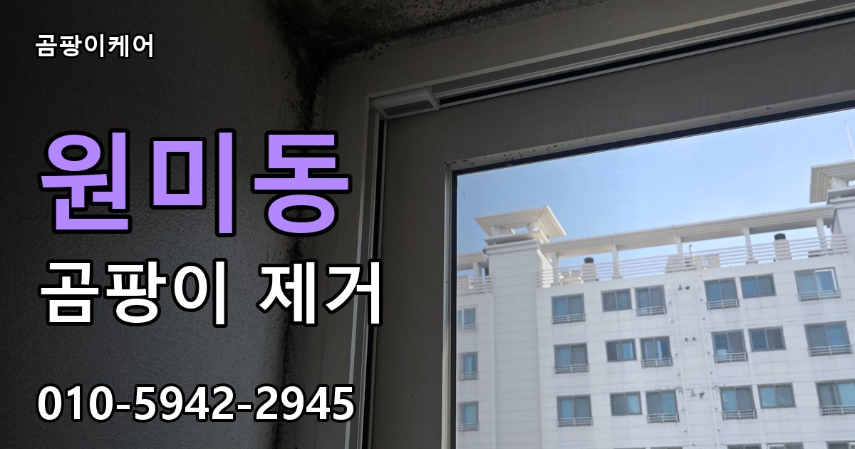 원미동 곰팡이 제거 - 곰팡이케어 실제 시공 현장