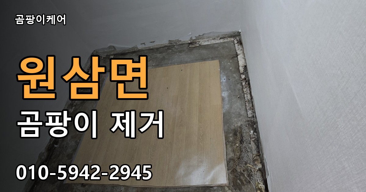 원삼면 곰팡이 제거 - 곰팡이케어 실제 시공 현장