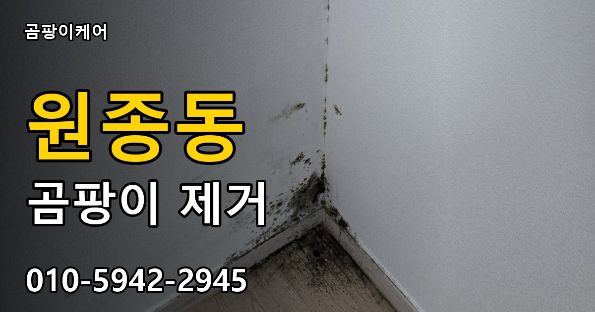 원종동 곰팡이 제거 - 곰팡이케어 실제 시공 현장