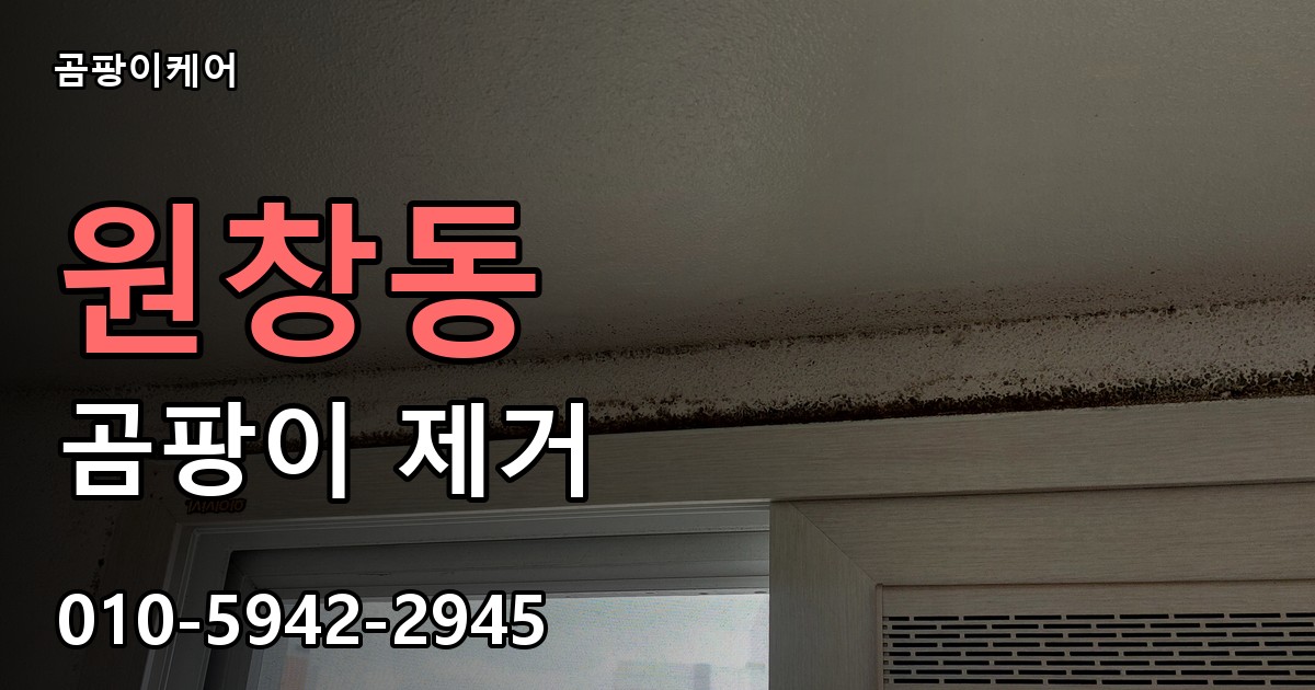 원창동 곰팡이 제거 - 곰팡이케어 실제 시공 현장