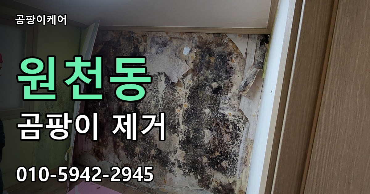원천동 곰팡이 제거 - 곰팡이케어 실제 시공 현장