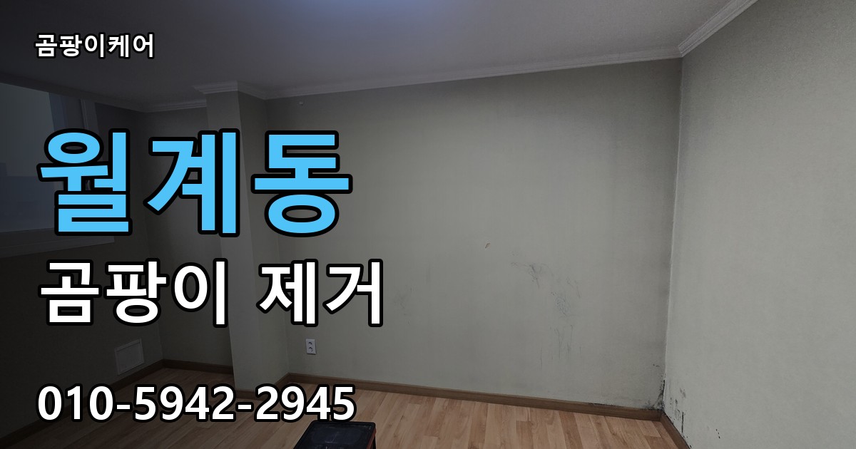 월계동 곰팡이 제거 - 곰팡이케어 실제 시공 현장