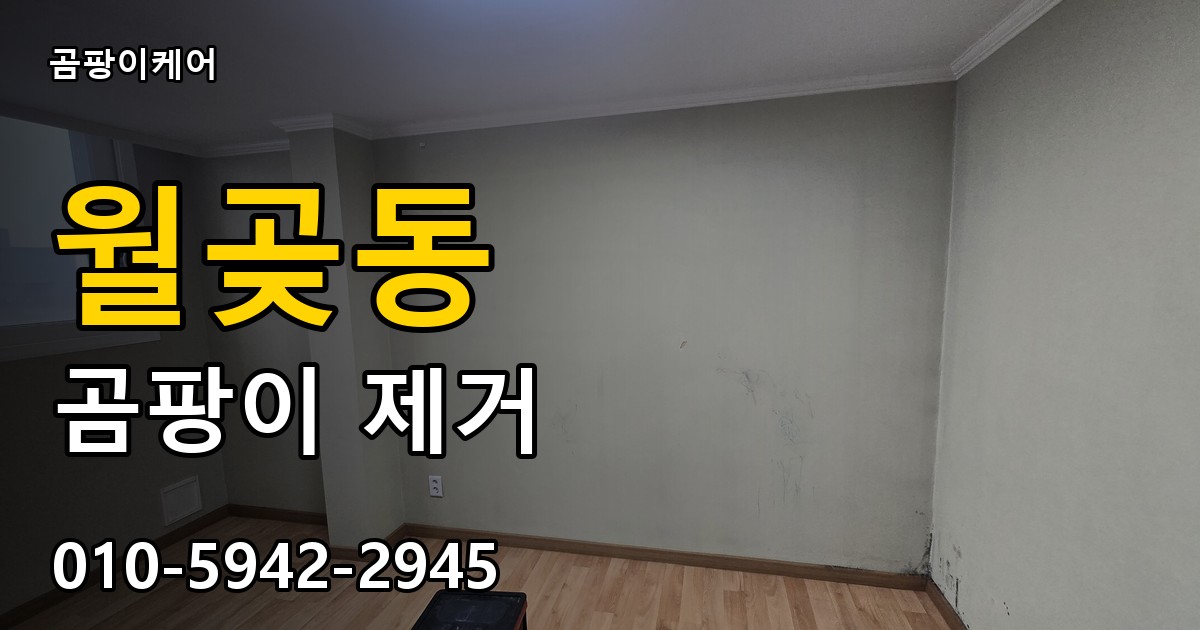 월곶동 곰팡이 제거 - 곰팡이케어 실제 시공 현장
