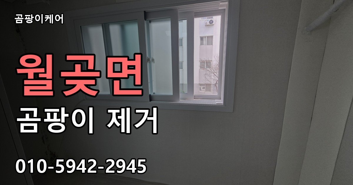 월곶면 곰팡이 제거 - 곰팡이케어 실제 시공 현장