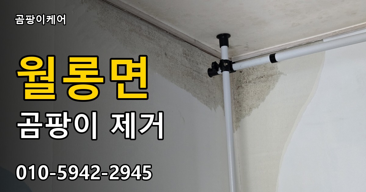 월롱면 곰팡이 제거 - 곰팡이케어 실제 시공 현장