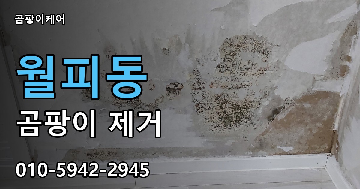 월피동 곰팡이 제거 - 곰팡이케어 실제 시공 현장
