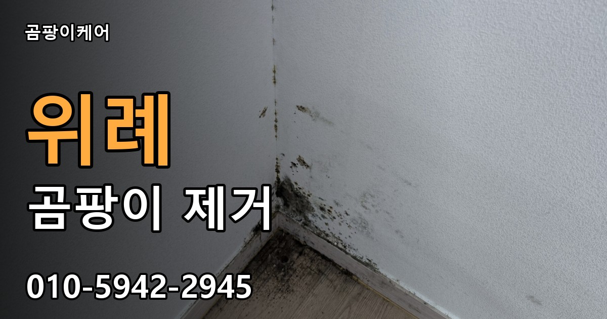 위례 곰팡이 제거 - 곰팡이케어 실제 시공 현장