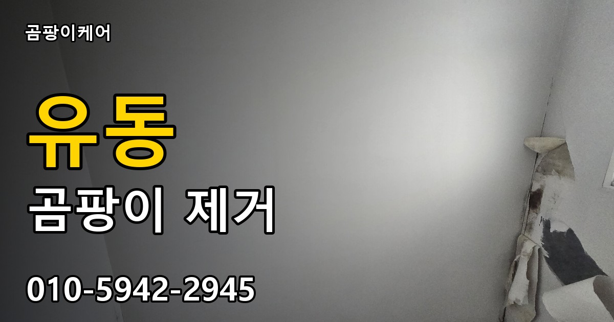 유동 곰팡이 제거 - 곰팡이케어 실제 시공 현장