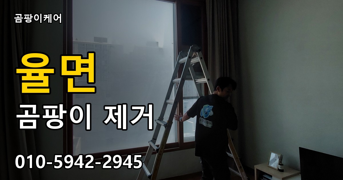 율면 곰팡이 제거 - 곰팡이케어 실제 시공 현장