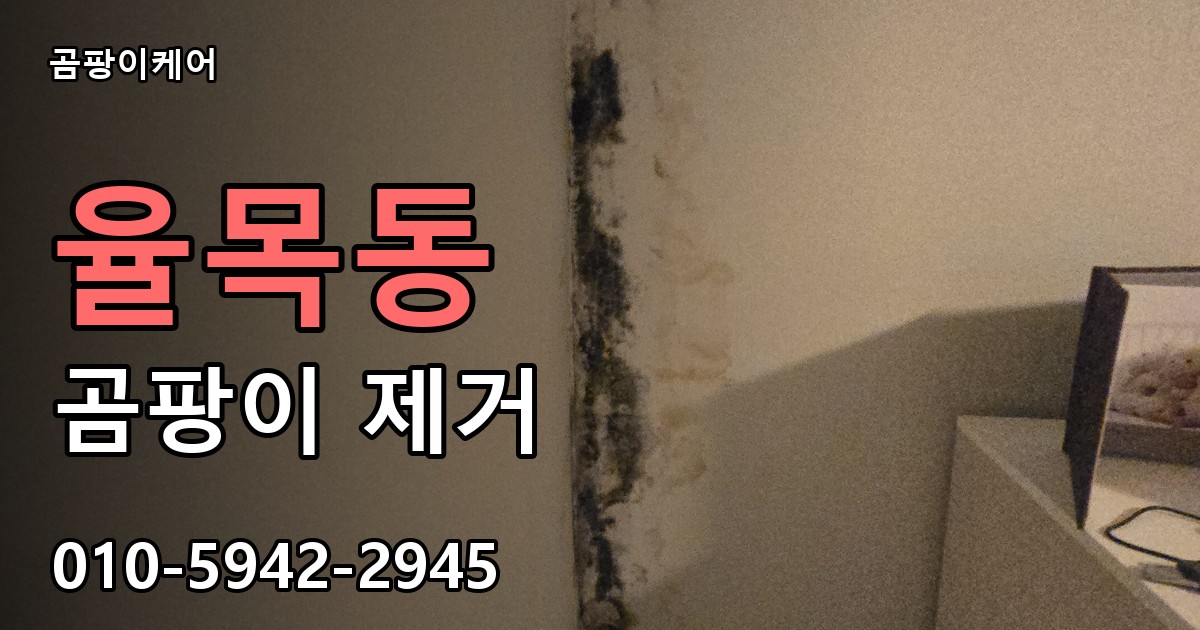 율목동 곰팡이 제거 - 곰팡이케어 실제 시공 현장