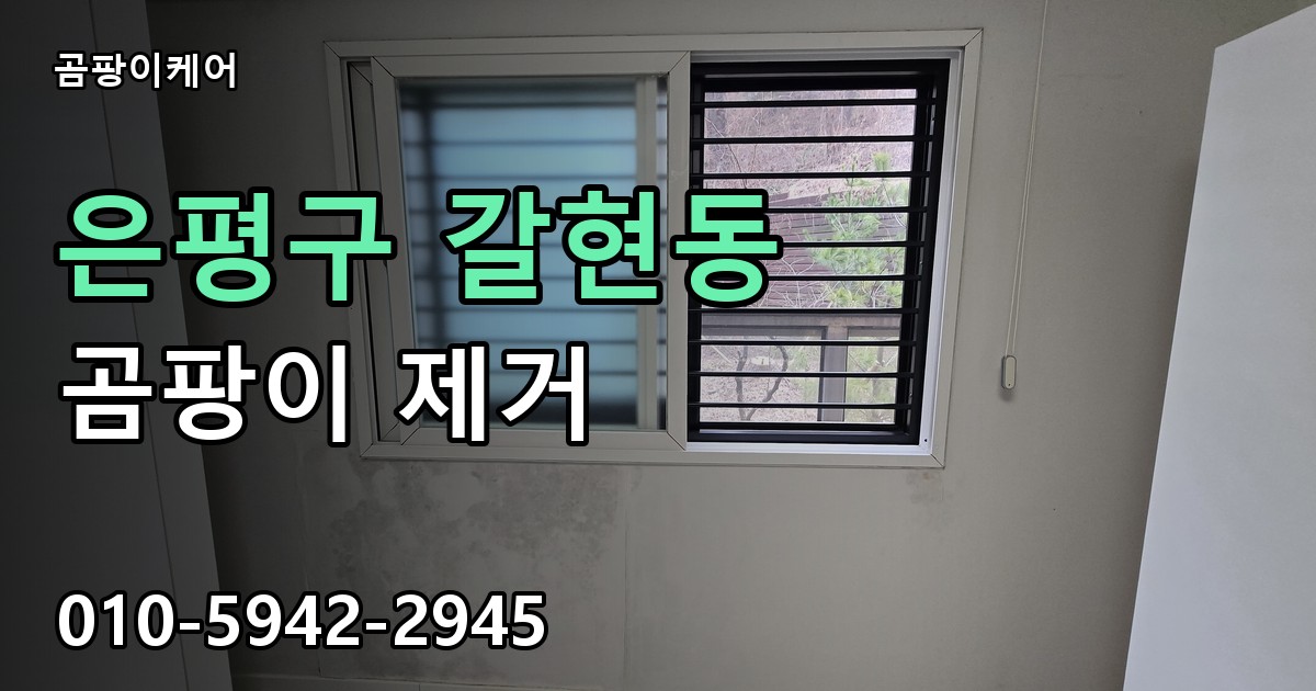 은평구 갈현동 곰팡이 제거 - 곰팡이케어 실제 시공 현장