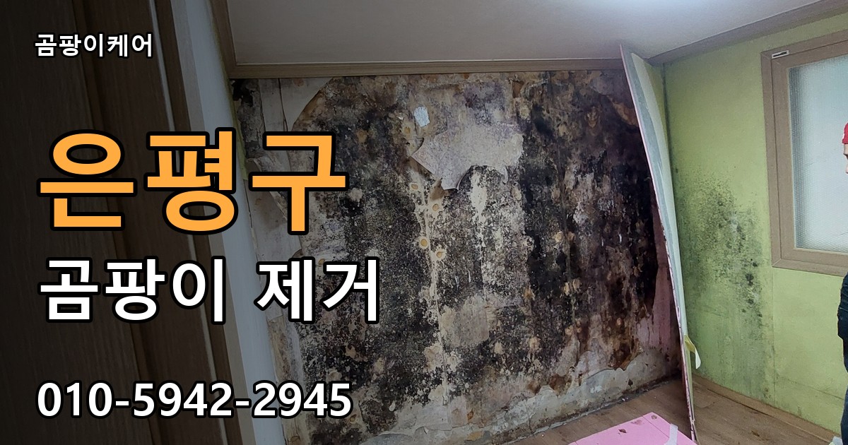 은평구 곰팡이 제거 - 곰팡이케어 실제 시공 현장