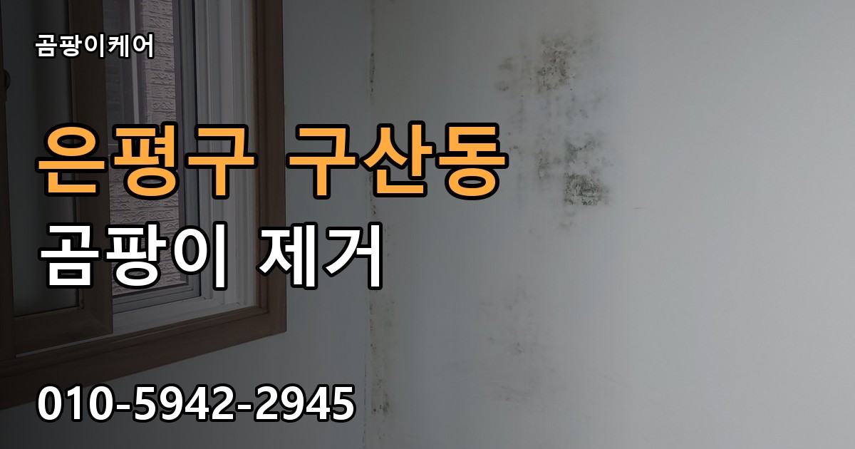 은평구 구산동 곰팡이 제거 - 곰팡이케어 실제 시공 현장