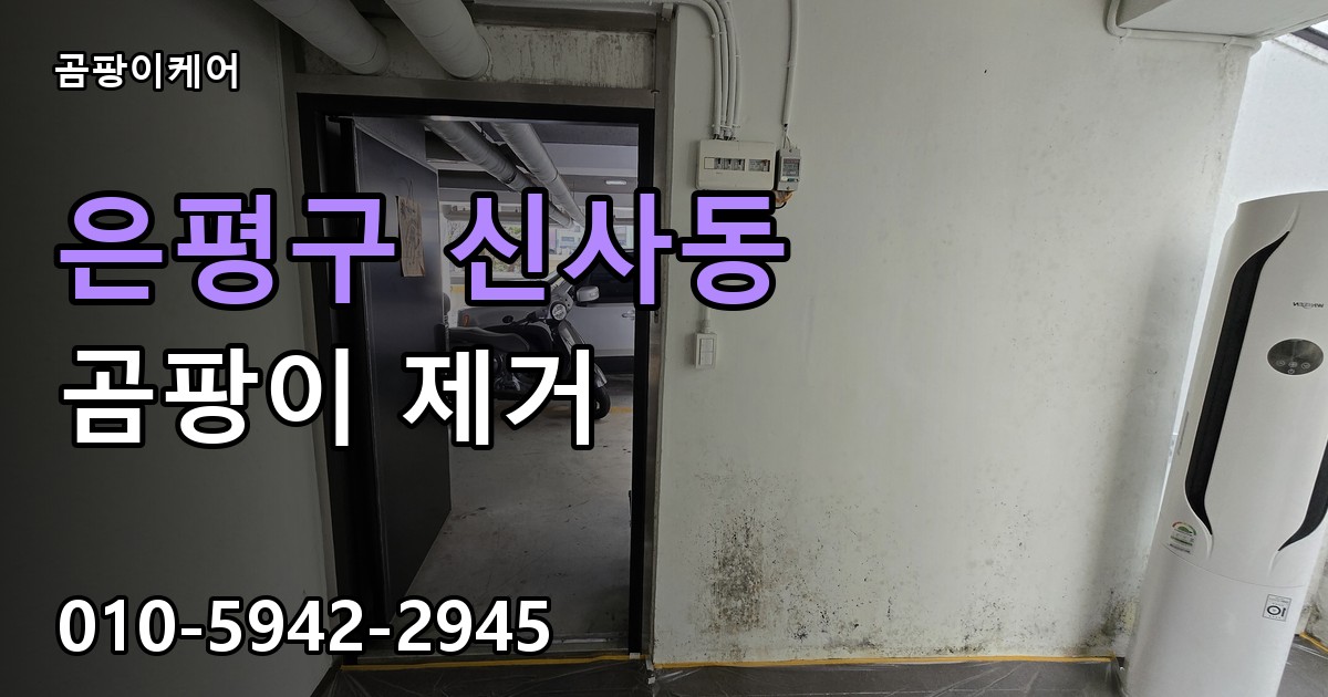 은평구 신사동 곰팡이 제거 - 곰팡이케어 실제 시공 현장