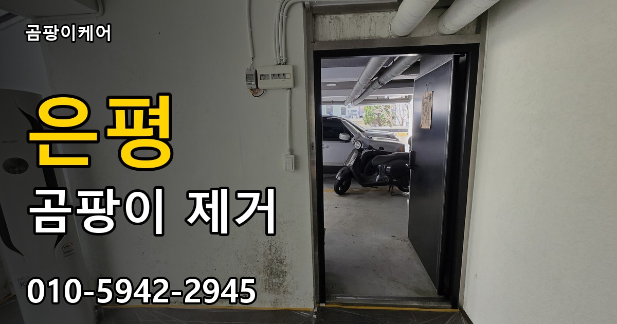 은평 곰팡이 제거 - 곰팡이케어 실제 시공 현장
