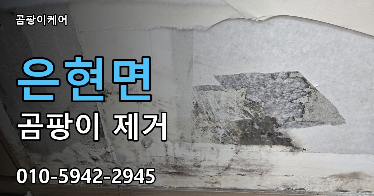 은현면 곰팡이 제거 - 곰팡이케어 실제 시공 현장