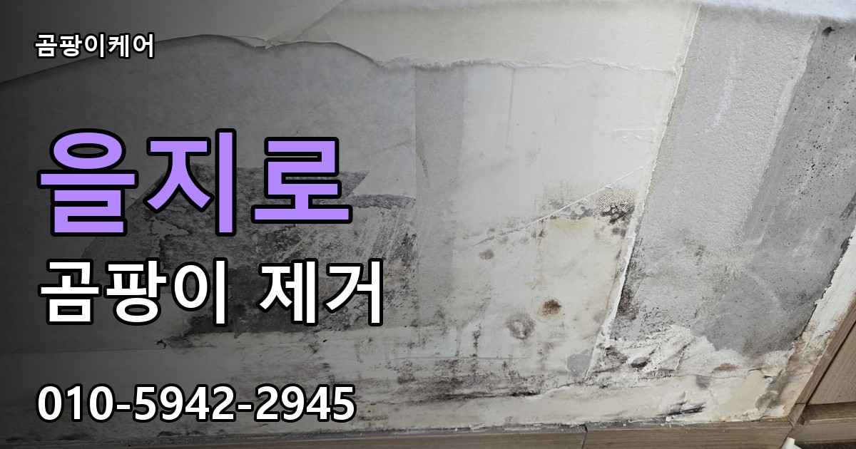을지로 곰팡이 제거 - 곰팡이케어 실제 시공 현장