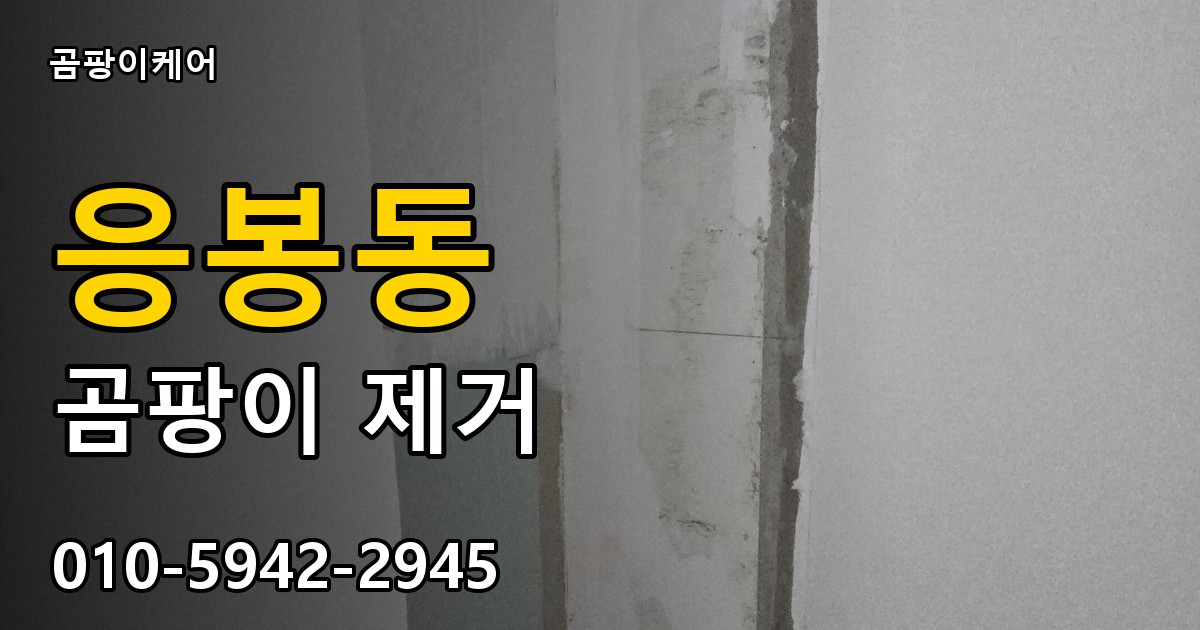 응봉동 곰팡이 제거 - 곰팡이케어 실제 시공 현장