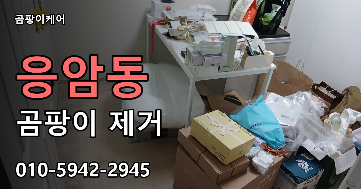 응암동 곰팡이 제거 - 곰팡이케어 실제 시공 현장