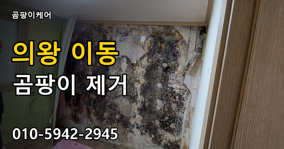 의왕 이동 곰팡이 제거 - 곰팡이케어 실제 시공 현장