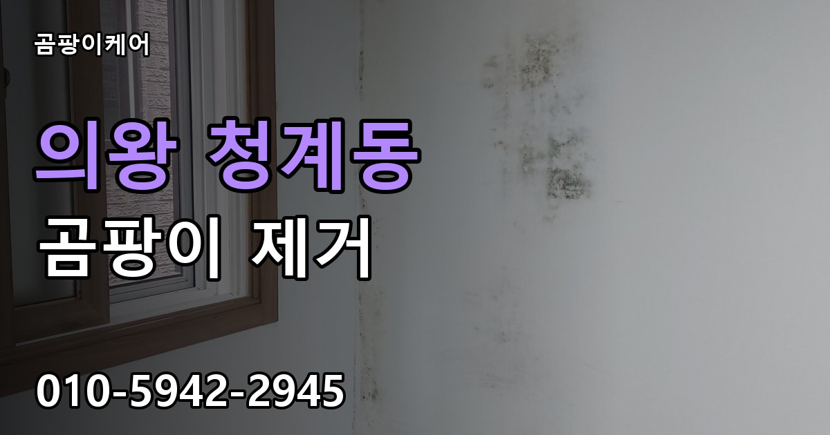 의왕 청계동 곰팡이 제거 - 곰팡이케어 실제 시공 현장