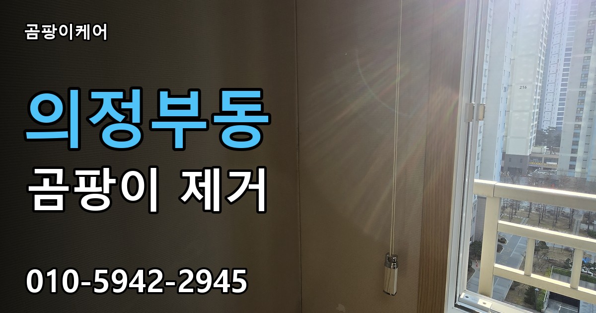 의정부동 곰팡이 제거 - 곰팡이케어 실제 시공 현장
