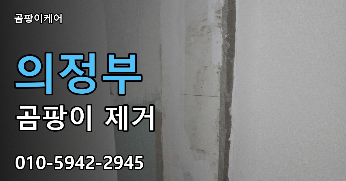 의정부 곰팡이 제거 - 곰팡이케어 실제 시공 현장