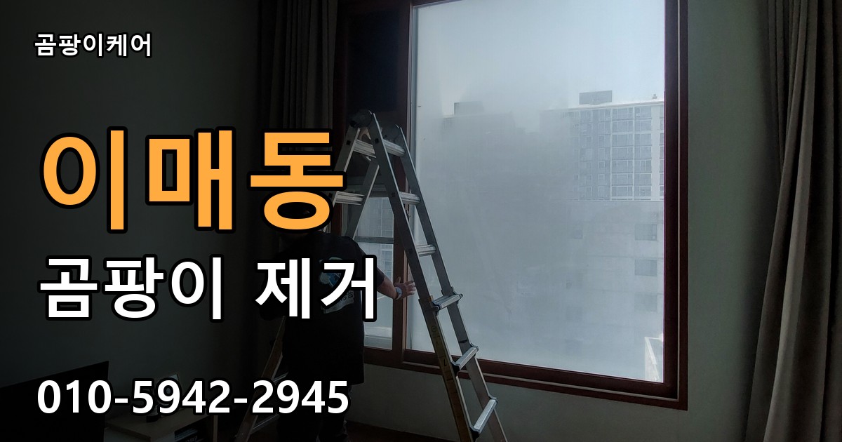 이매동 곰팡이 제거 - 곰팡이케어 실제 시공 현장